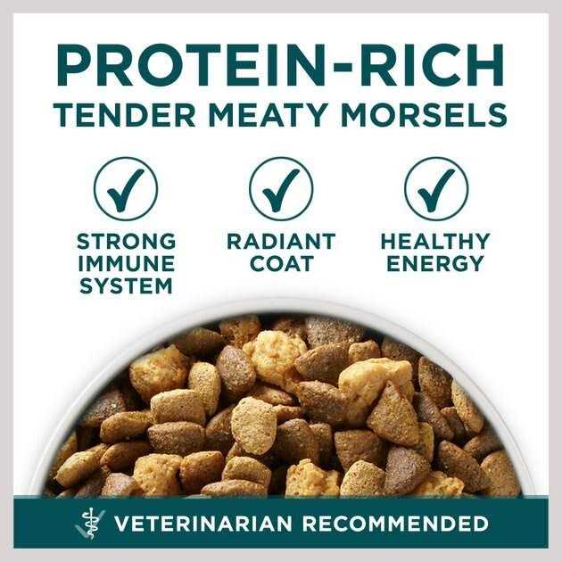 Purina ONE Large Breed Dry Puppy Food - Image 3