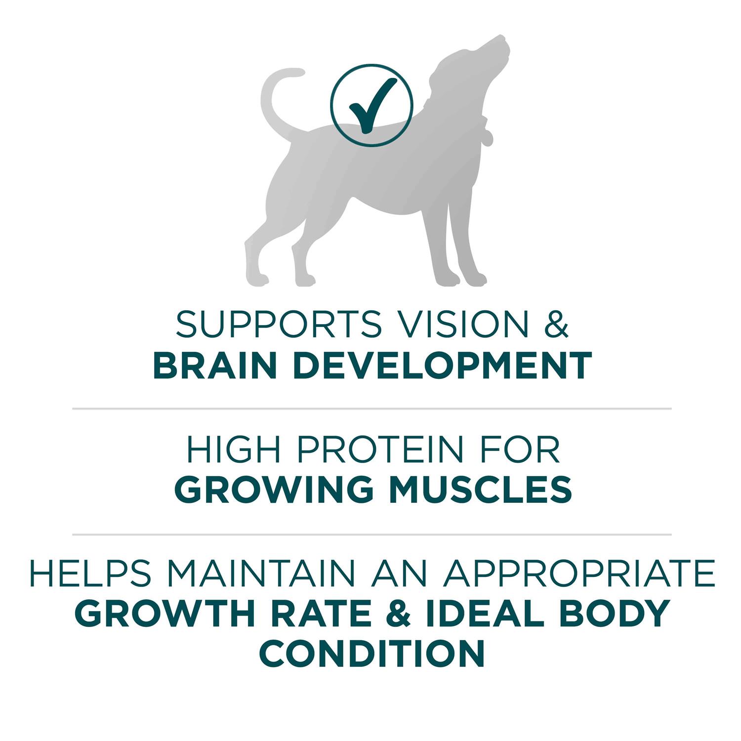 Purina ONE Large Breed Dry Puppy Food - Image 4