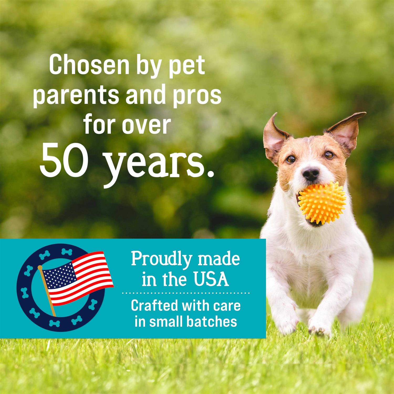 Stewart Pro-Treat Freeze Dried Beef Liver Treats - Image 4