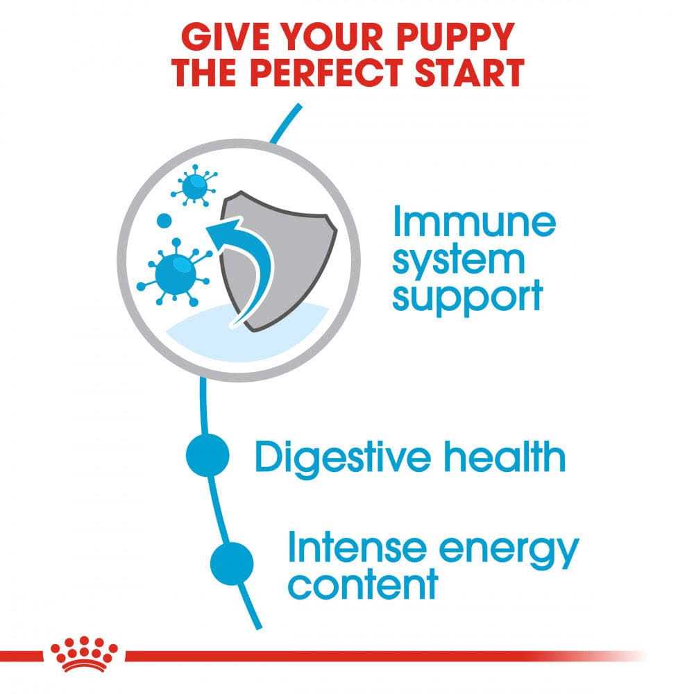 Royal Canin Size Health Nutrition Small Puppy Dry Dog Food - Image 3