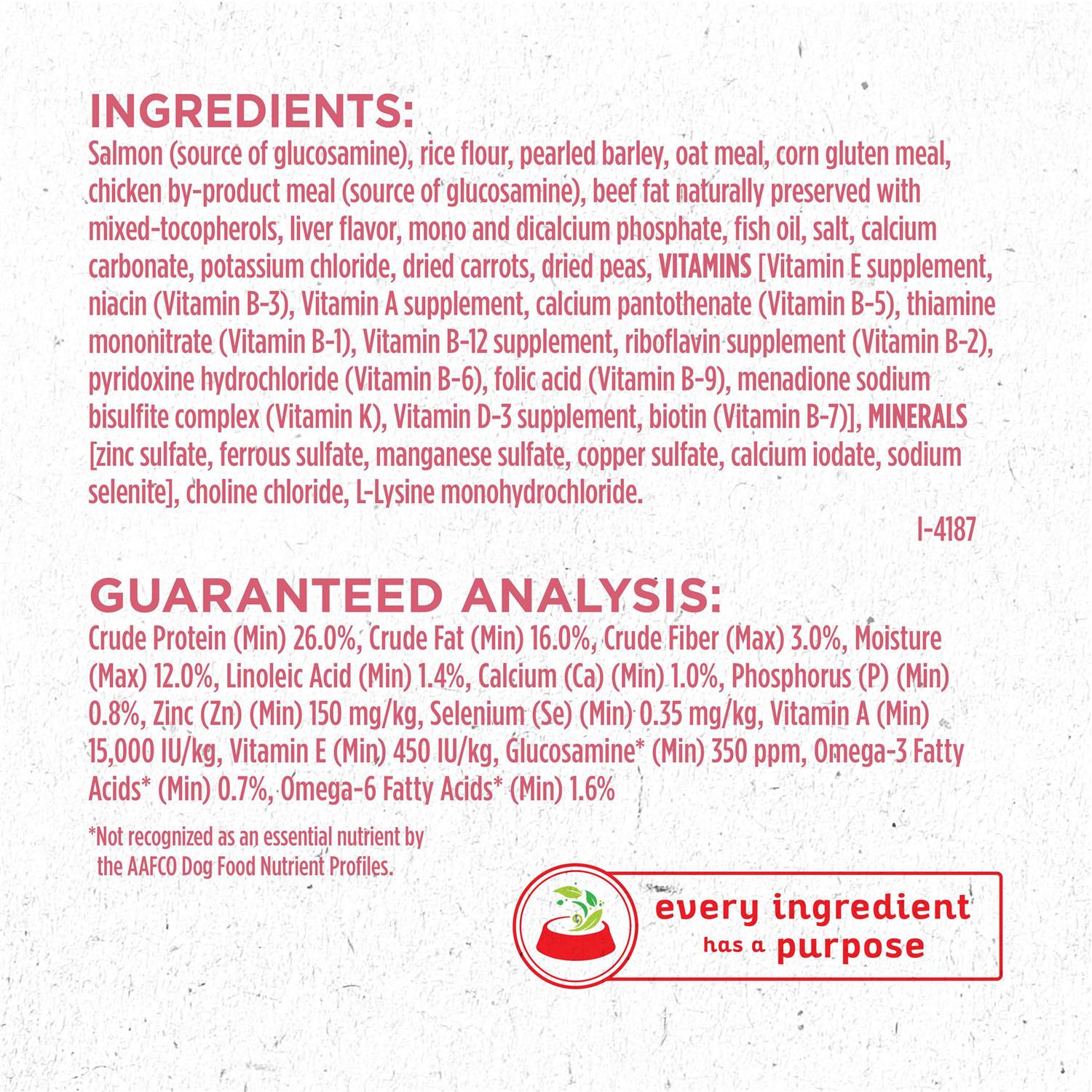 Purina ONE +Plus Skin & Coat Formula Dry Dog Food - Image 2