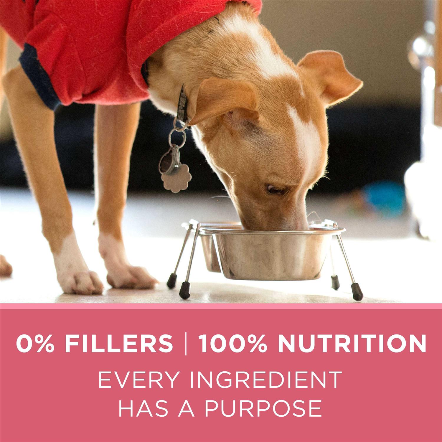 Purina ONE +Plus Skin & Coat Formula Dry Dog Food - Image 4