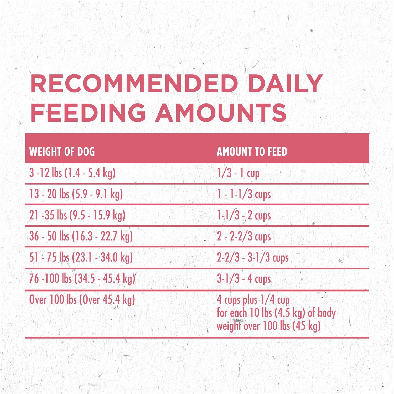 Purina ONE +Plus Skin & Coat Formula Dry Dog Food - Image 5