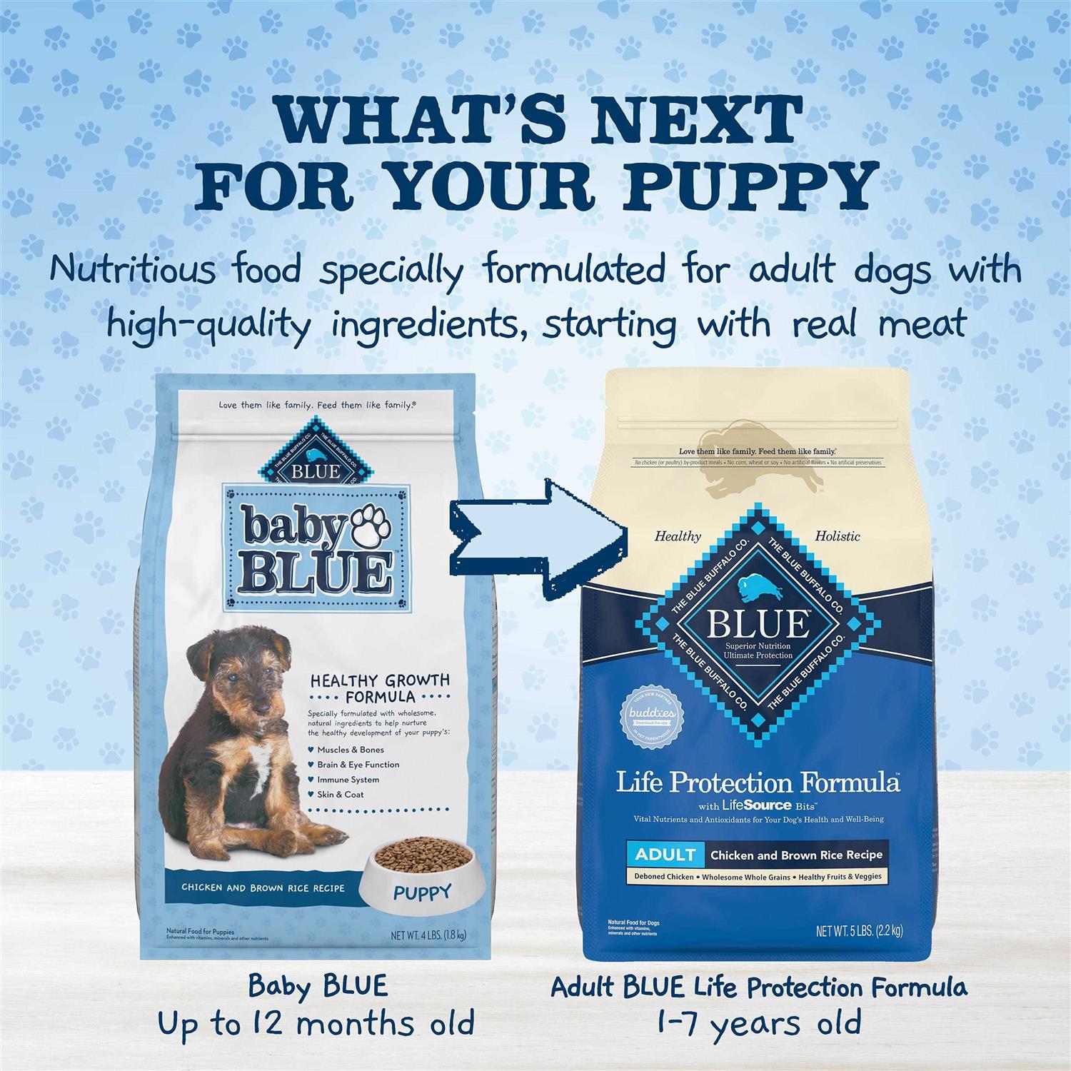 Blue Buffalo Baby Blue Healthy Growth Formula Natural Puppy Dry Dog Food, Chicken and Brown Rice Recipe - Image 3