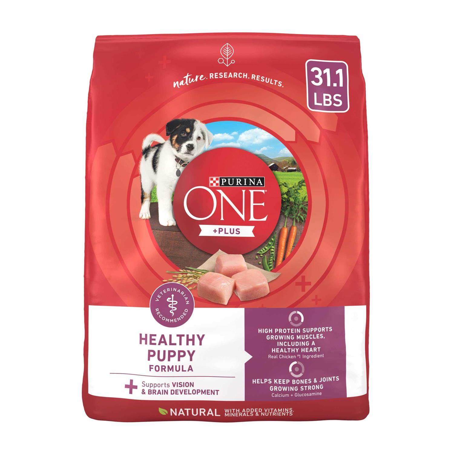 Purina ONE Healthy Puppy Formula High Protein Dry Dog Food