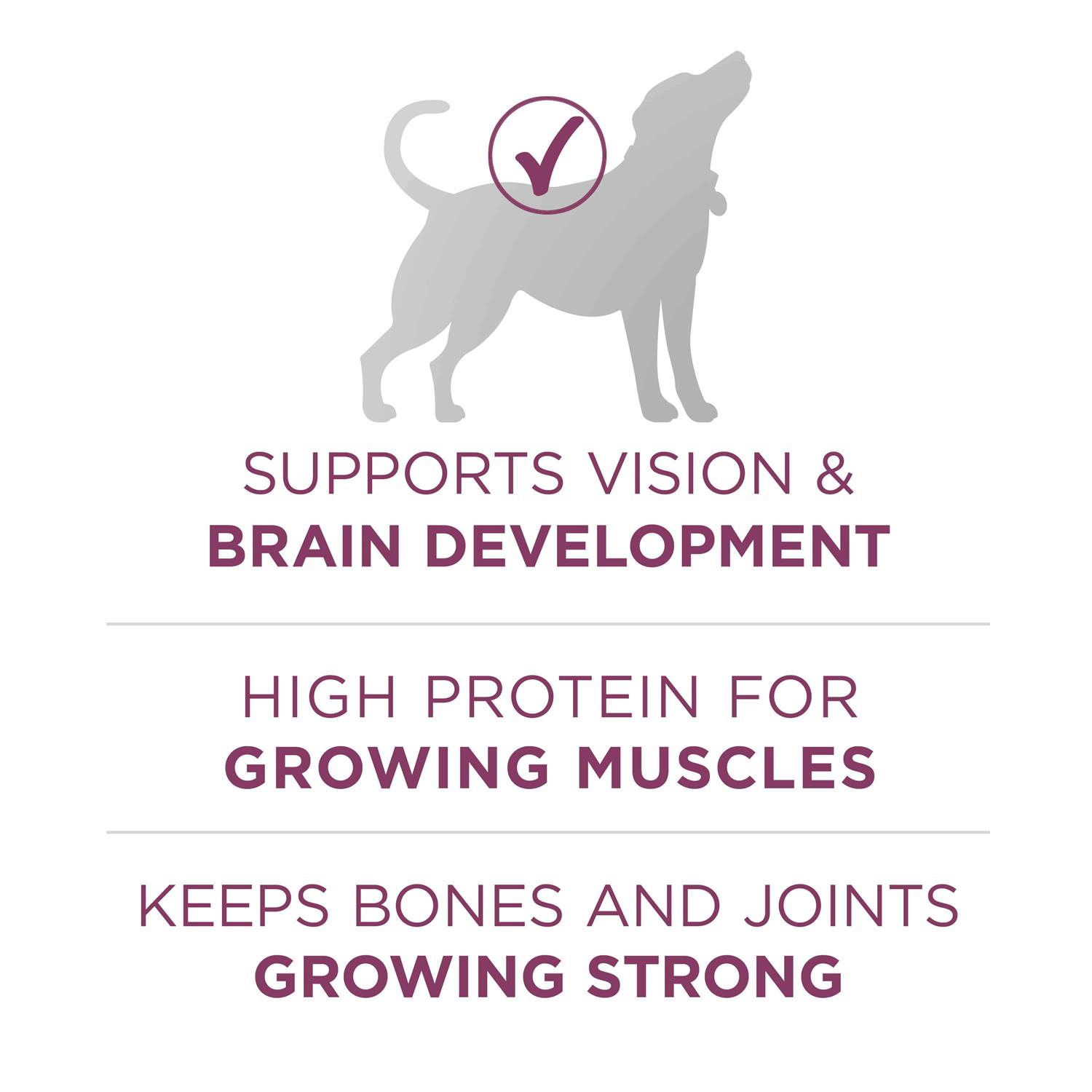 Purina ONE Healthy Puppy Formula High Protein Dry Dog Food - Image 4