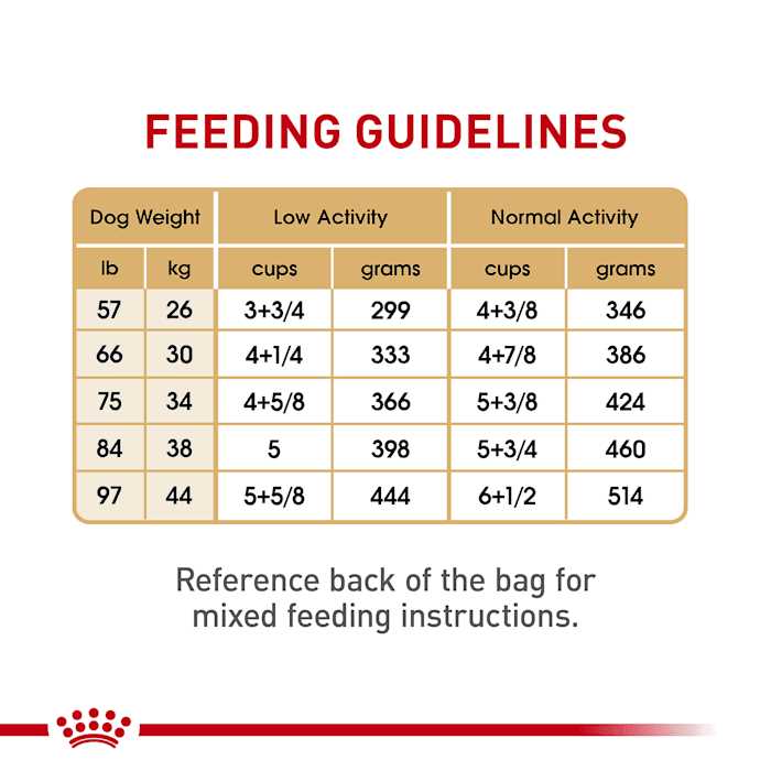 Royal Canin Breed Health Nutrition Labrador Retriever Adult Dry Dog Food - Image 3