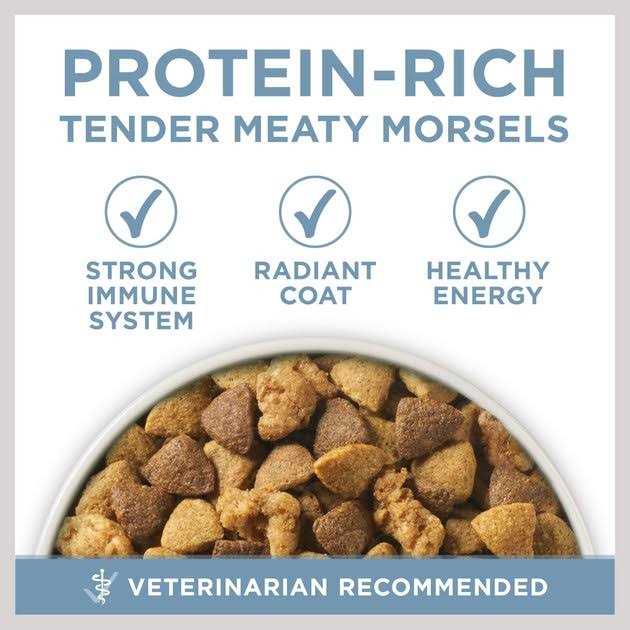 Purina ONE Joint Health Dry Dog Food - Image 2