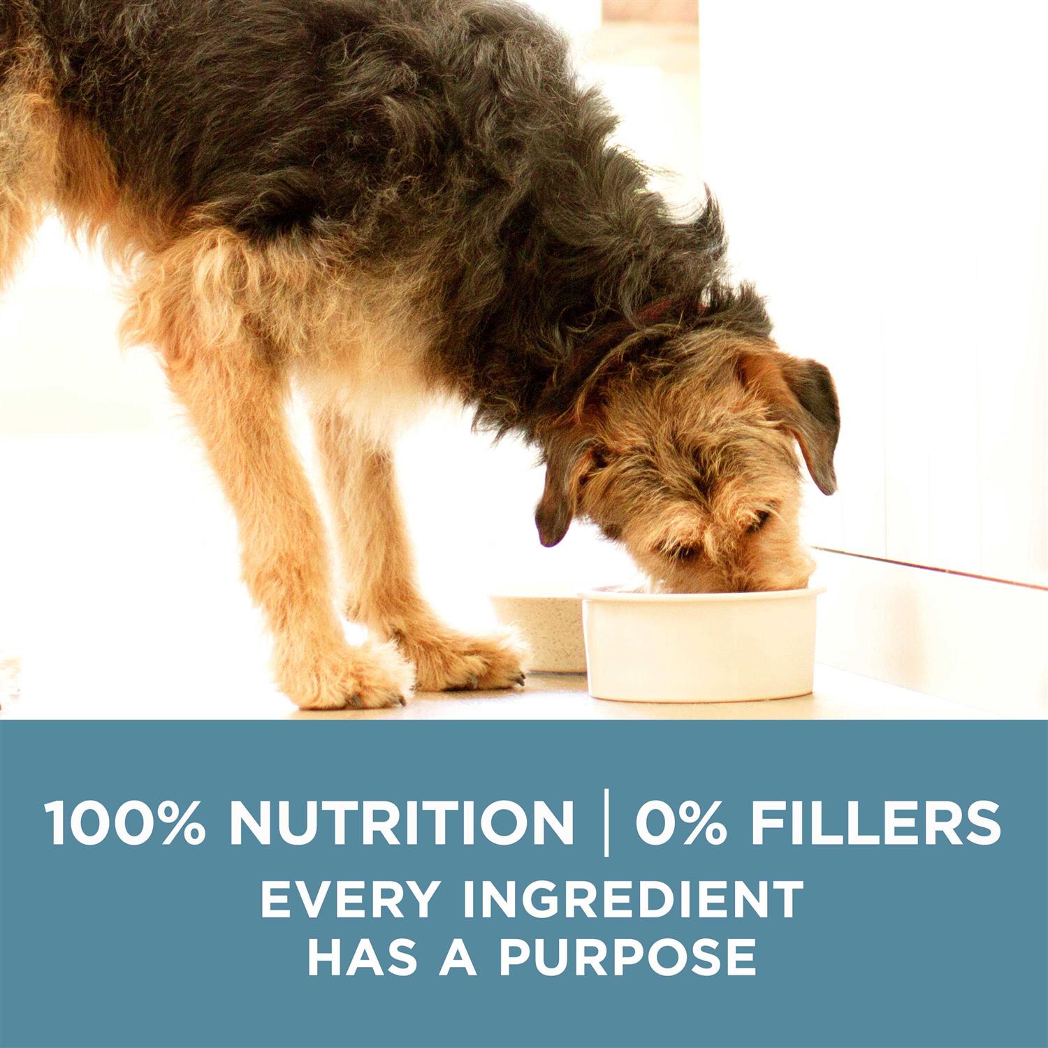 Purina ONE Joint Health Dry Dog Food - Image 3