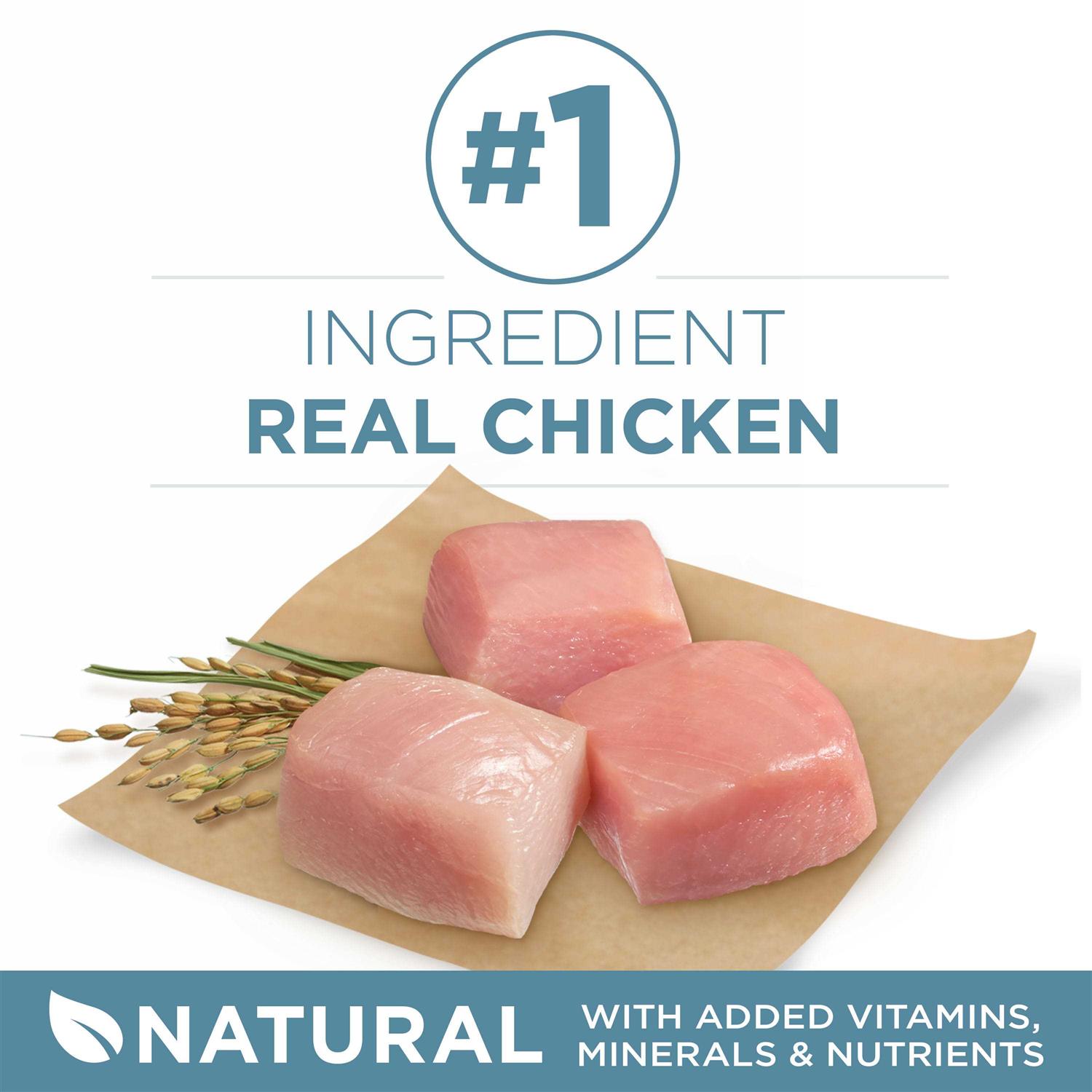 Purina ONE Joint Health Dry Dog Food - Image 4