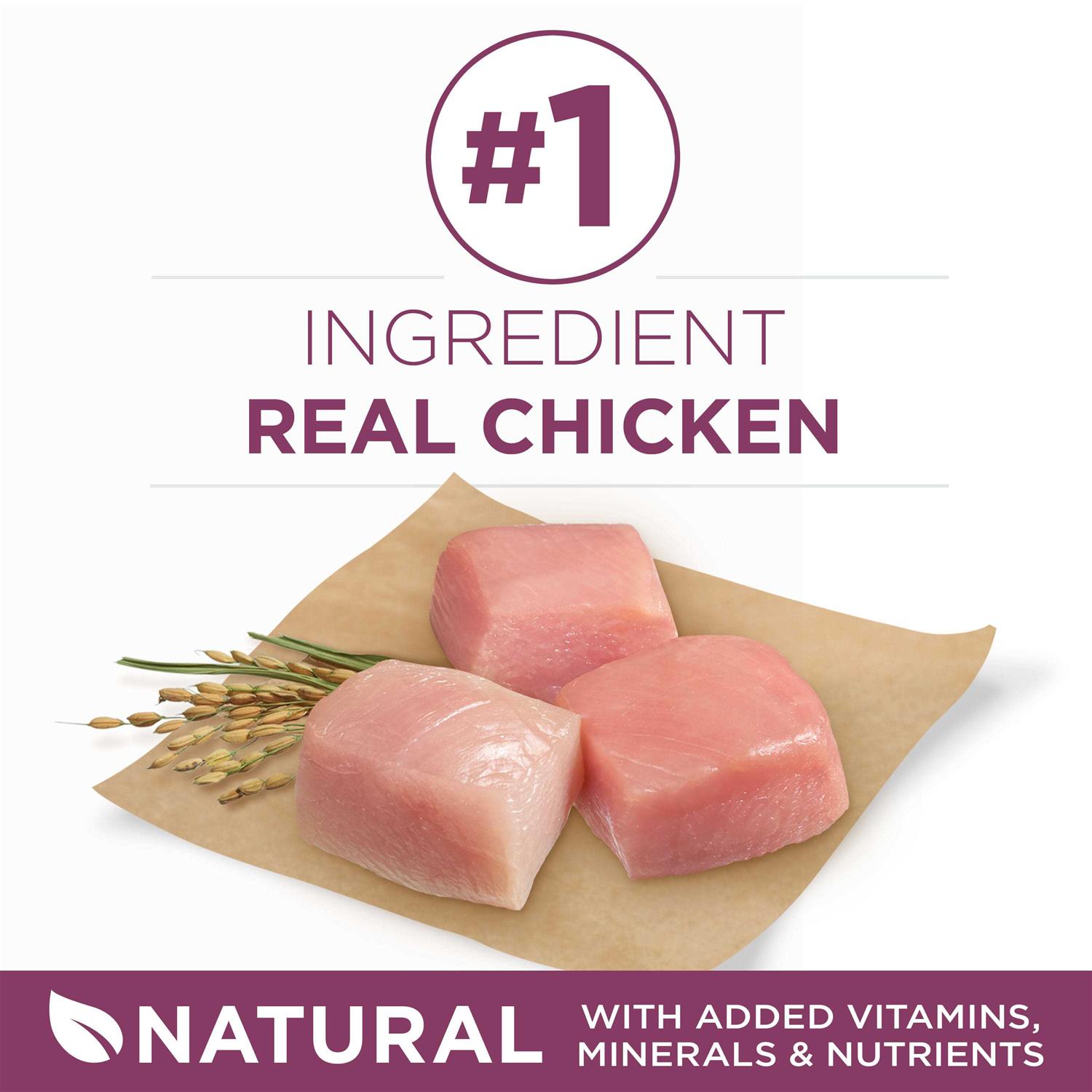 Purina ONE Healthy Puppy Formula Dry Food - Image 2