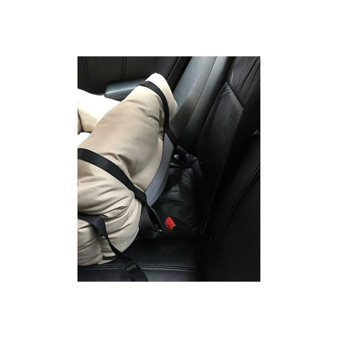 Precious Tails Travel Pet Bed - Image 2