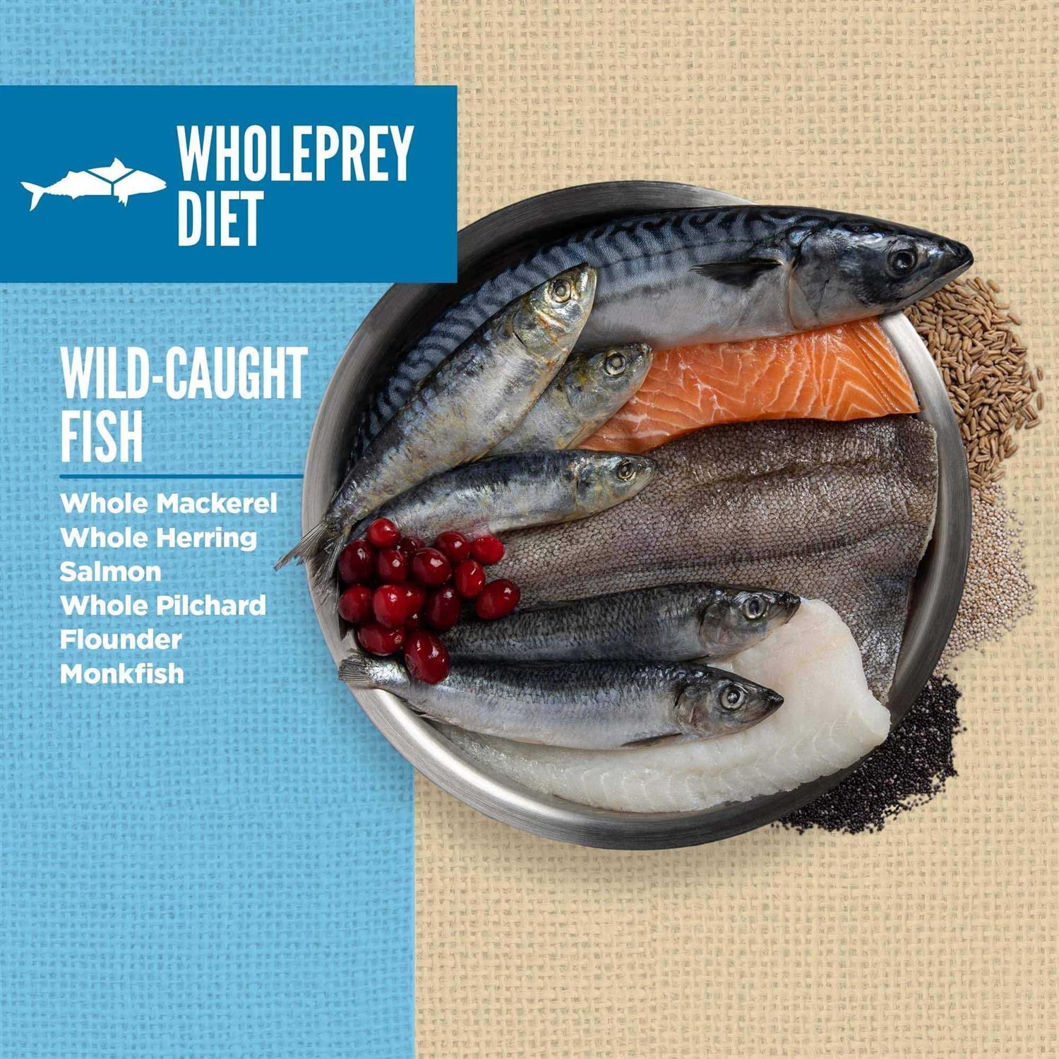 Orijen Amazing Grains Dry Dog Food - Image 3