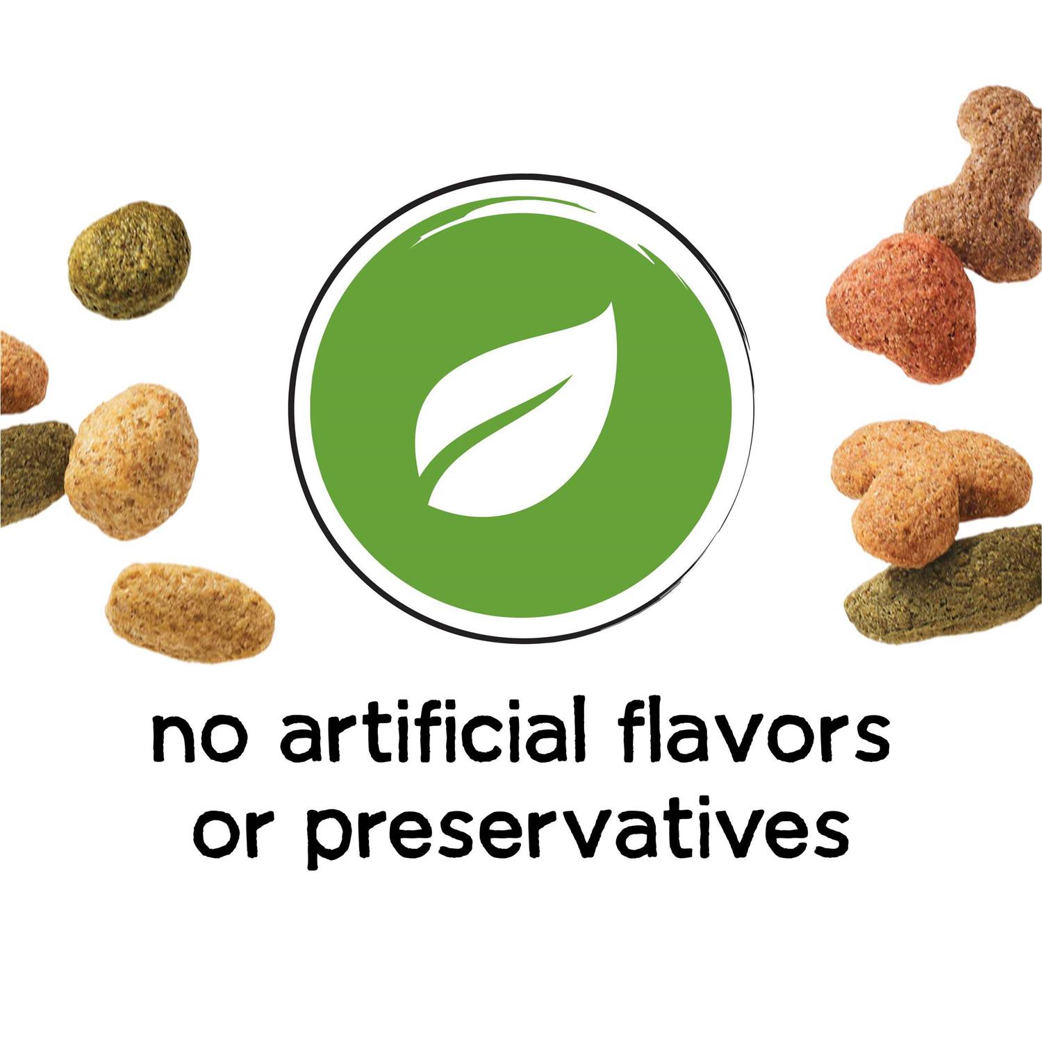 Purina Beneful Healthy Weight Dry Dog Food Chicken - Image 2