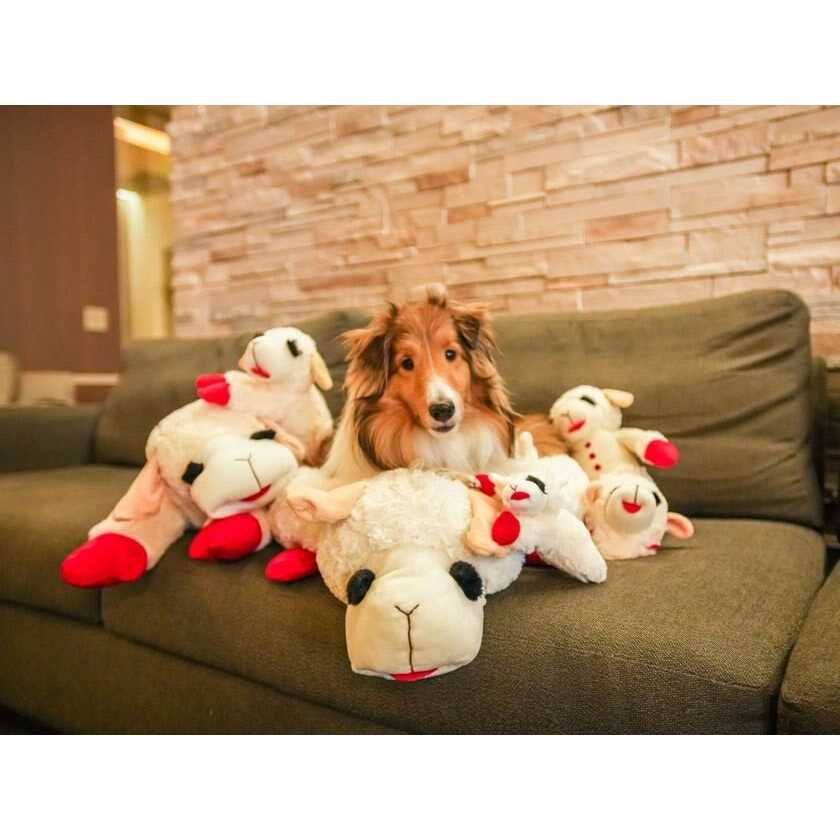 Multipet Lamb Chop Dog Bed - Image 5