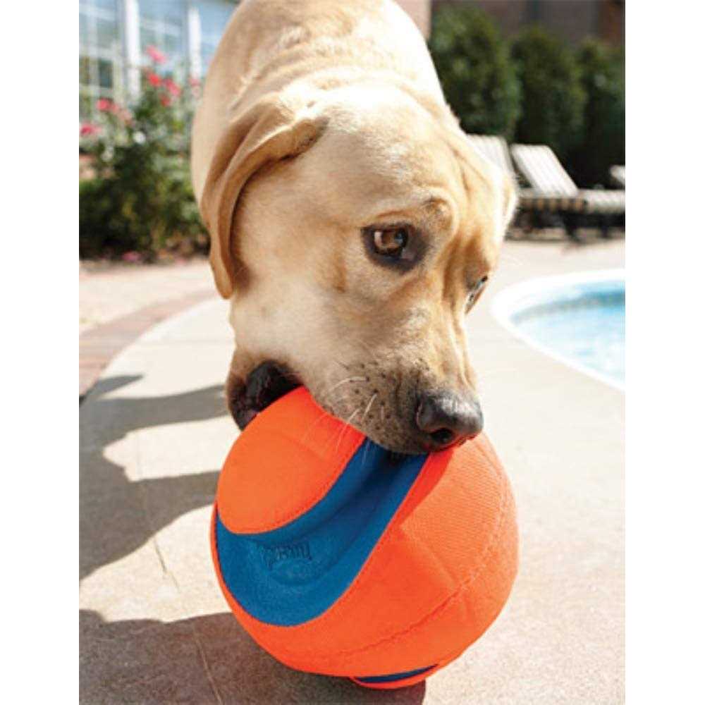 Chuckit! Kick Fetch Ball Dog Toy - Image 3