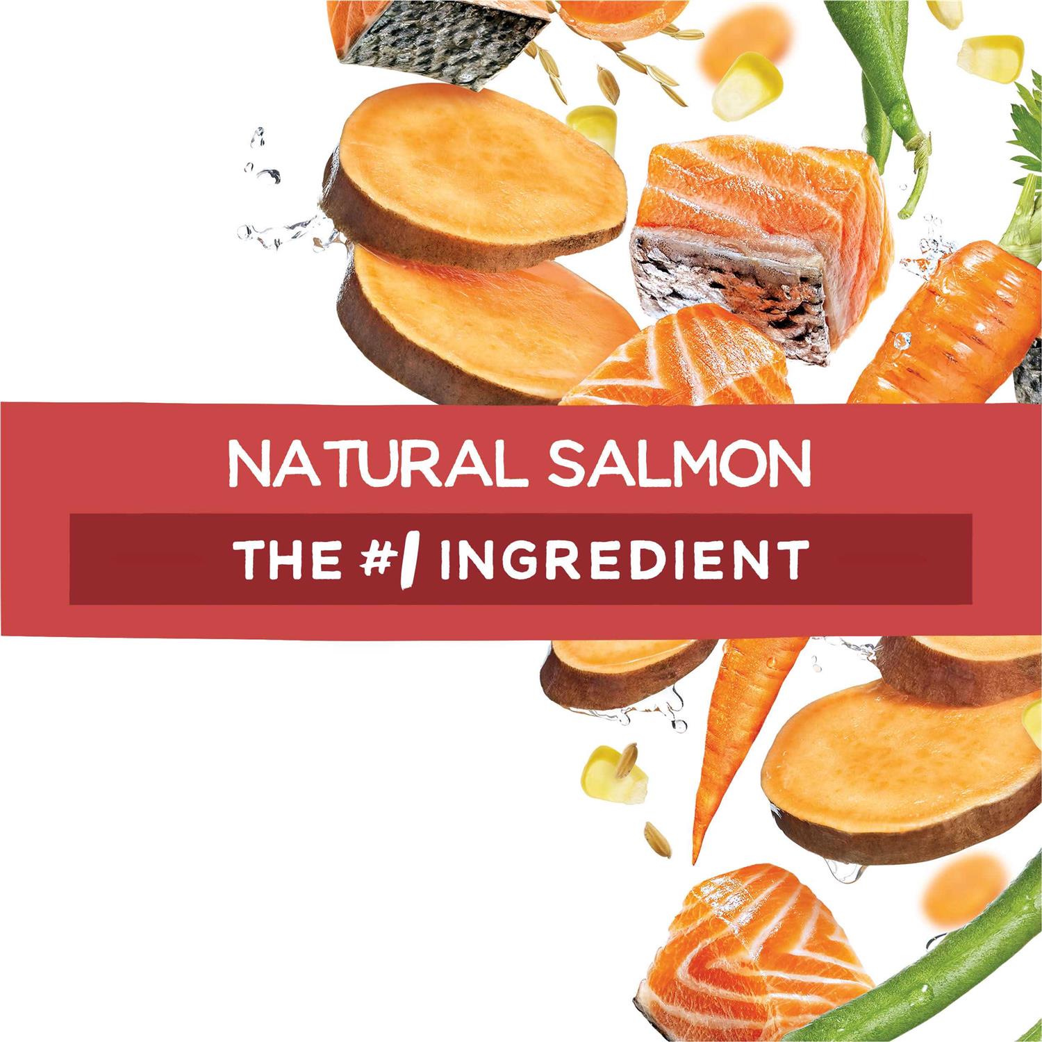 Purina Beneful Originals Salmon Dry Dog Food - Image 2