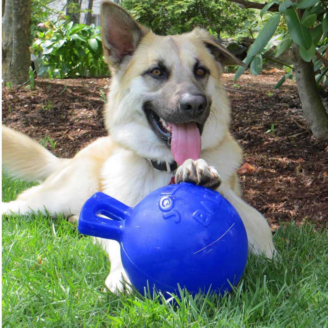 Jolly Pets Tug N Toss Ball - Image 3