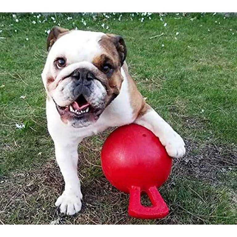 Jolly Pets Tug N Toss Ball - Image 5
