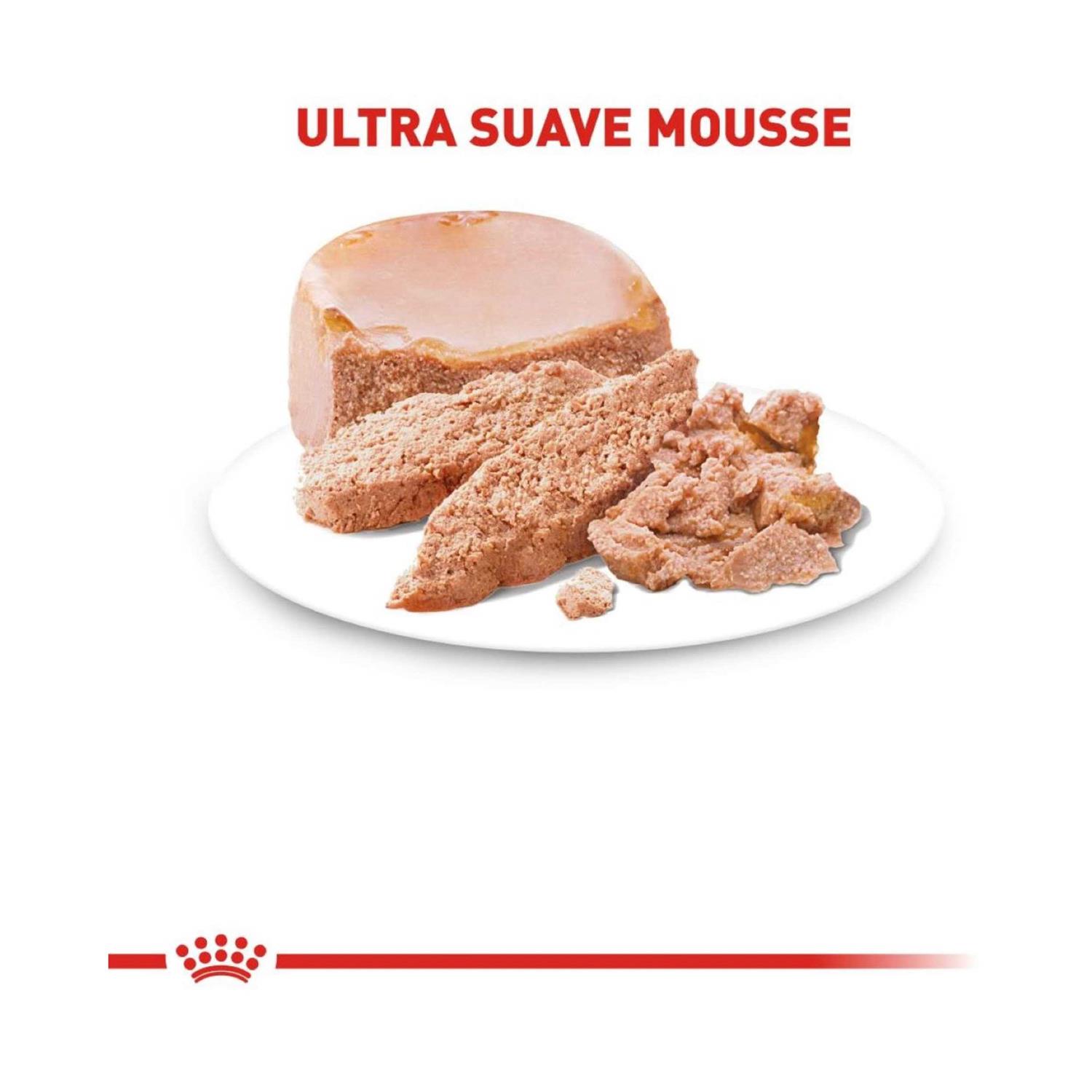 Royal Canin Starter Mousse in Sauce Mother & Babydog Dog Food - Image 5
