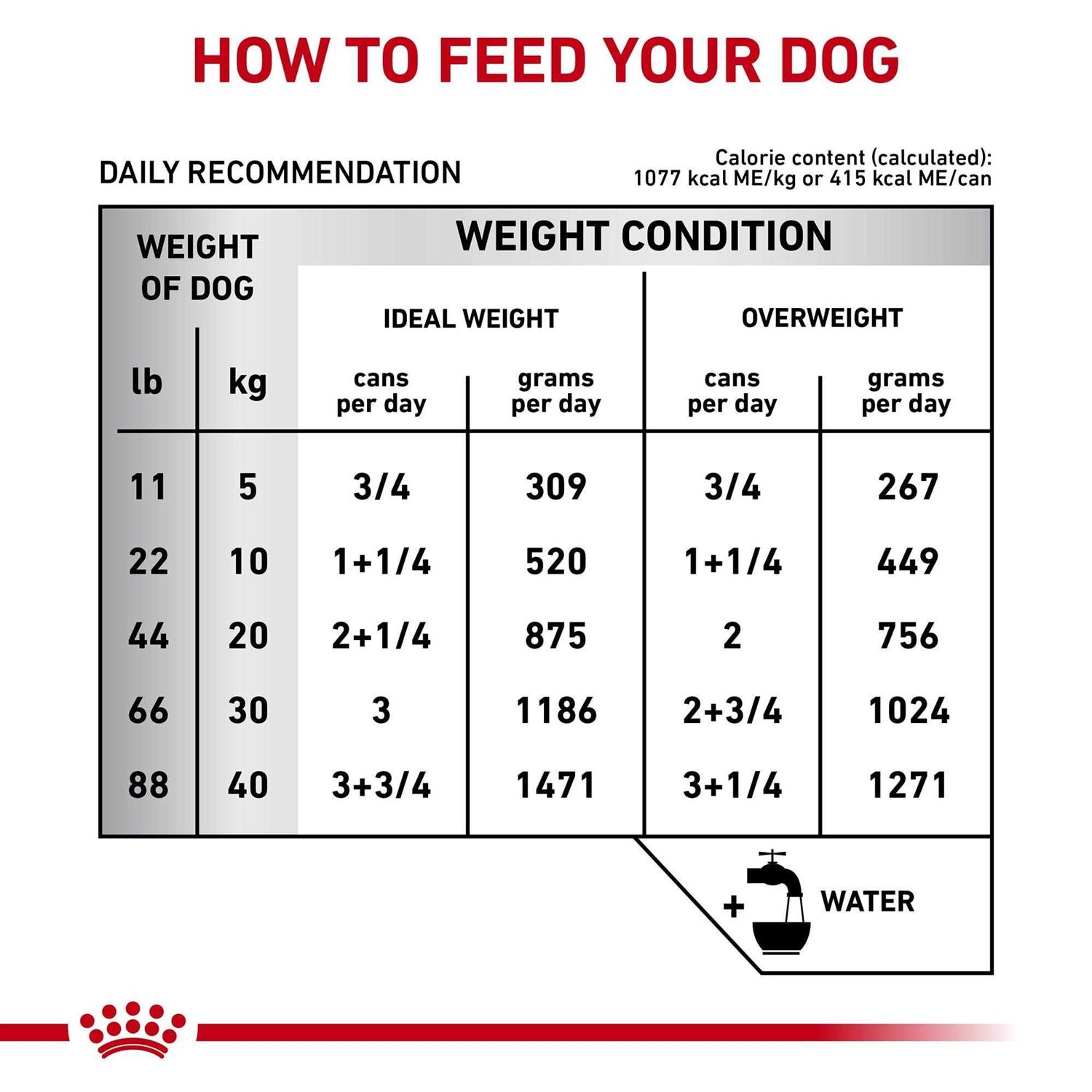 Royal Canin Veterinary Diet Gastrointestinal Loaf Canned Dog Food - Image 4