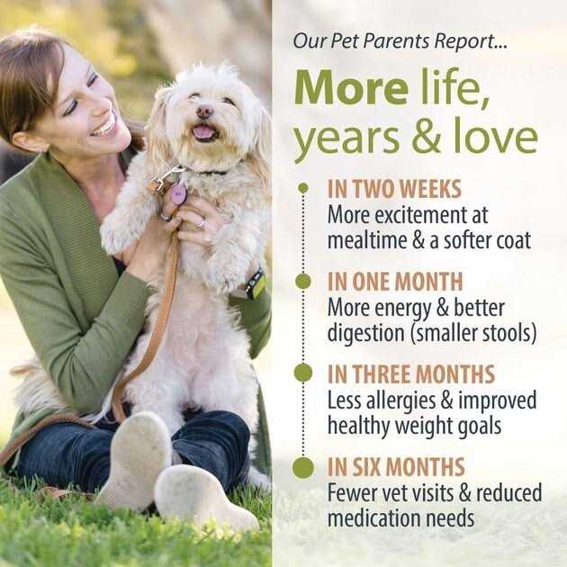 JustFoodForDogs Pantry Fresh and Dog Food - Image 4