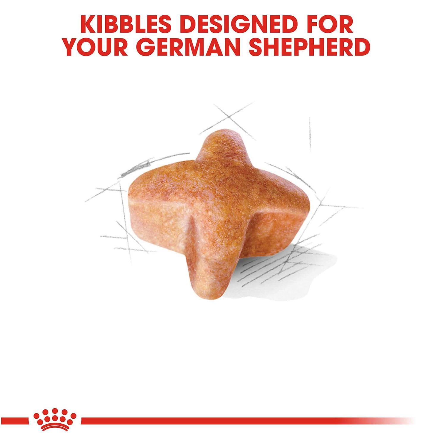 Royal Canin Adult German Shepherd Dry Dog Food - Image 4