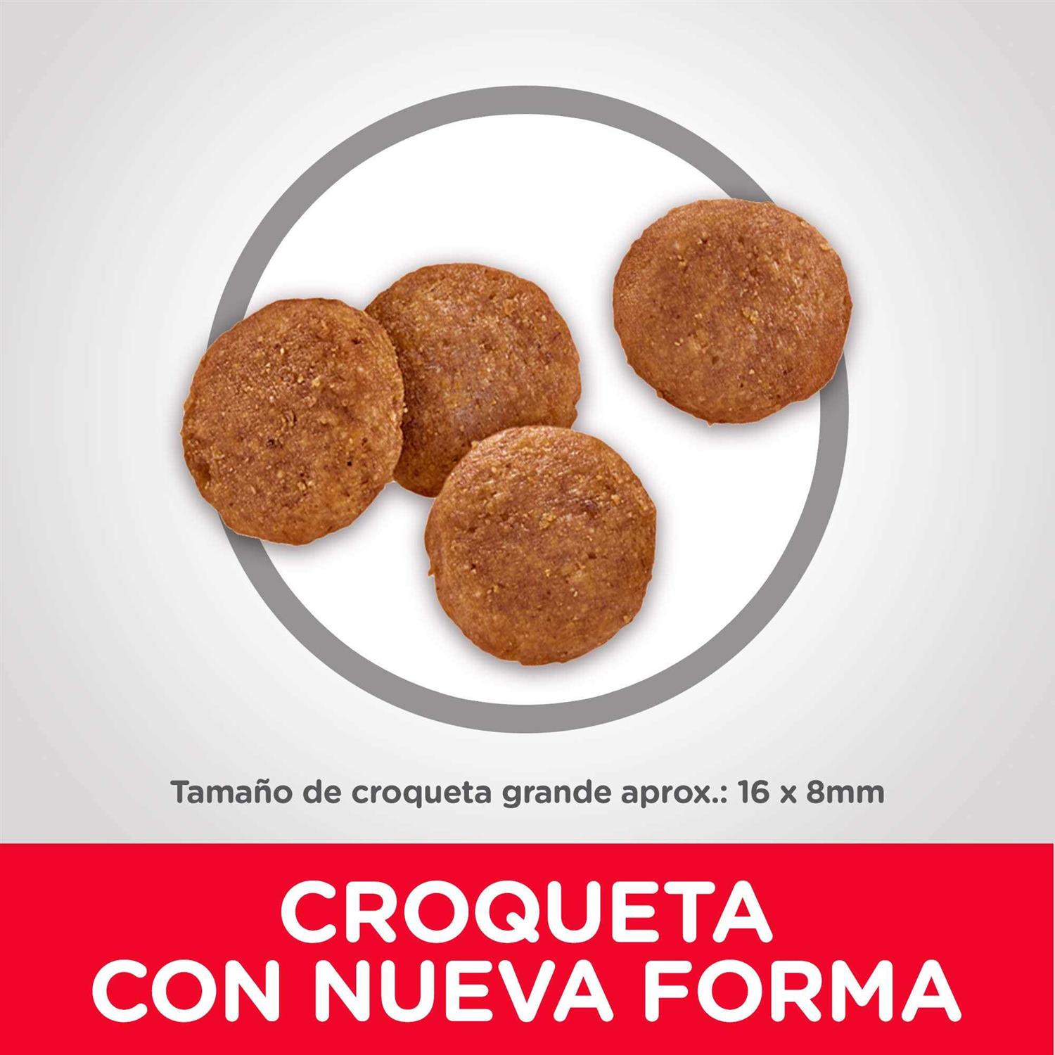 Hill's Science Diet Adult Chicken & Barley Recipe Large Breed Dry Dog Food - Image 4