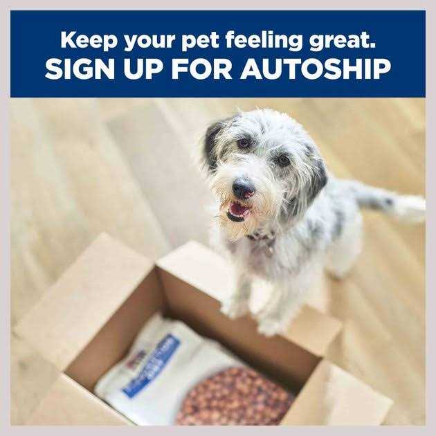 Hill's Prescription Diet Dog Treats - Image 3