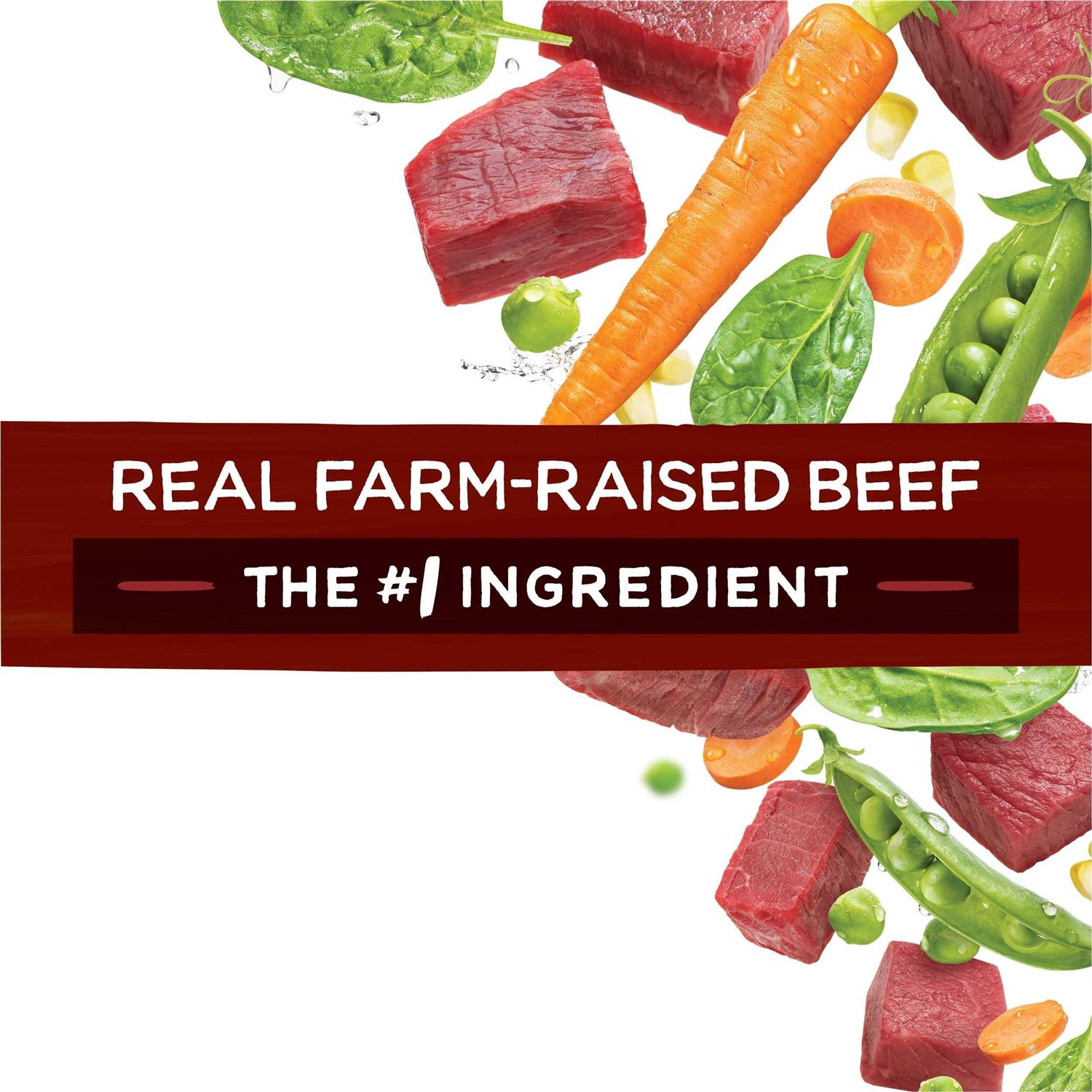 Purina Beneful Originals Dog Food with Real Beef - Image 4