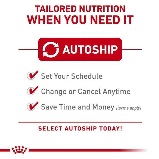 Royal Canin Urinary Canine Treats - Image 4