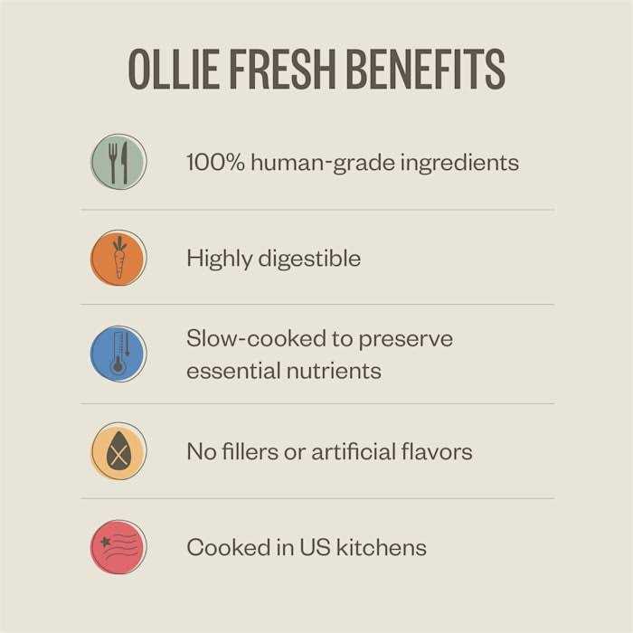 Ollie Chicken Dish with Carrots Fresh Frozen Dog Food - Image 3