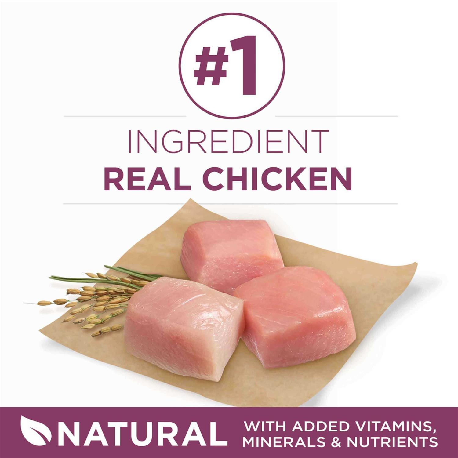 Purina ONE SmartBlend Healthy Puppy Formula Dry Dog Food - Image 2