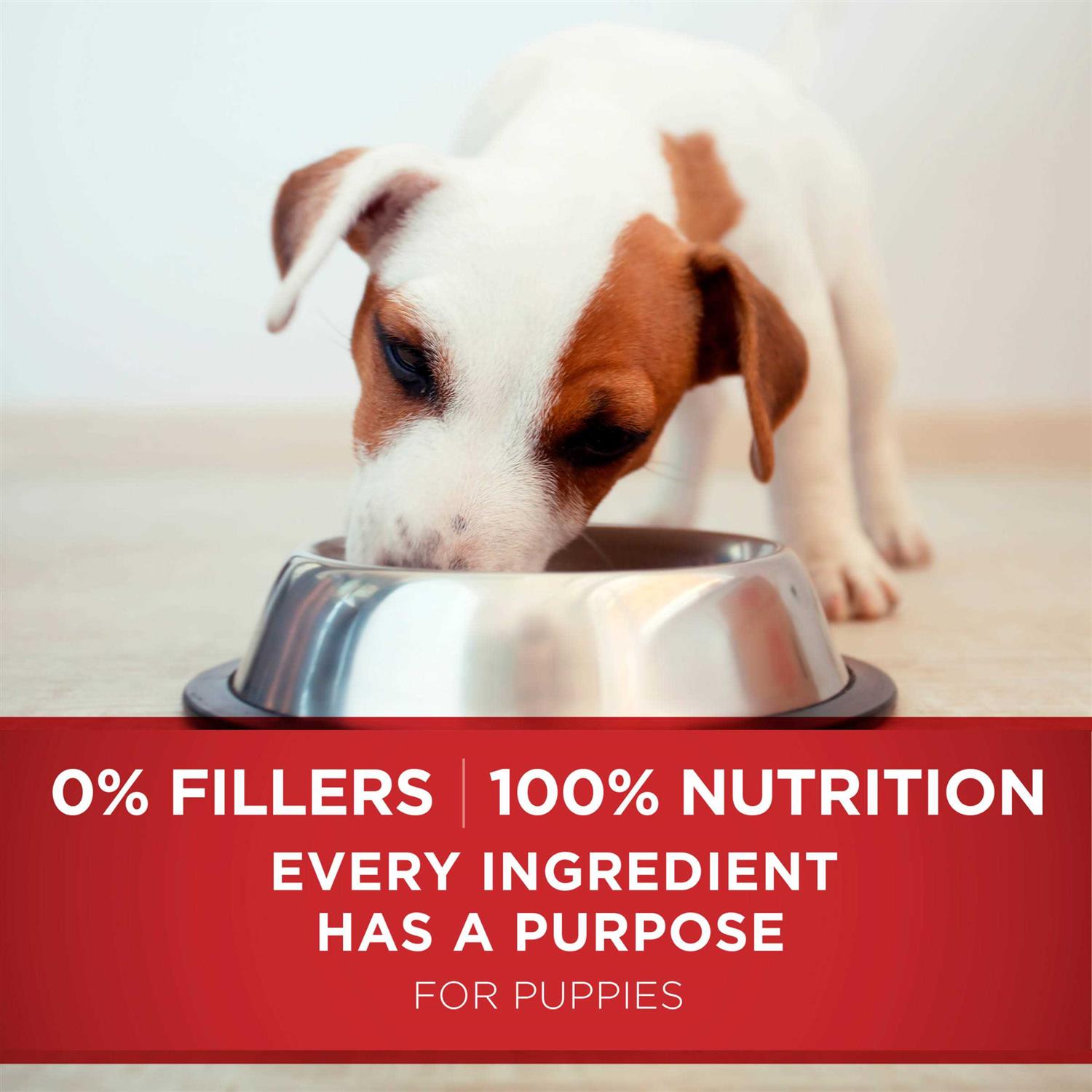 Purina ONE SmartBlend Healthy Puppy Formula Dry Dog Food - Image 3