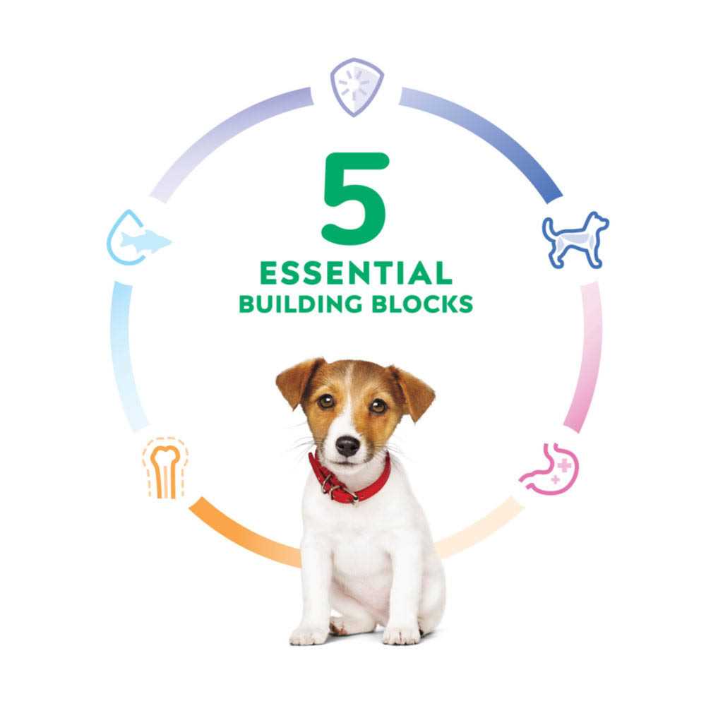 Hill's Science Diet Puppy Small Bites Chicken Meal & Barley Recipe Dry Dog Food - Image 4