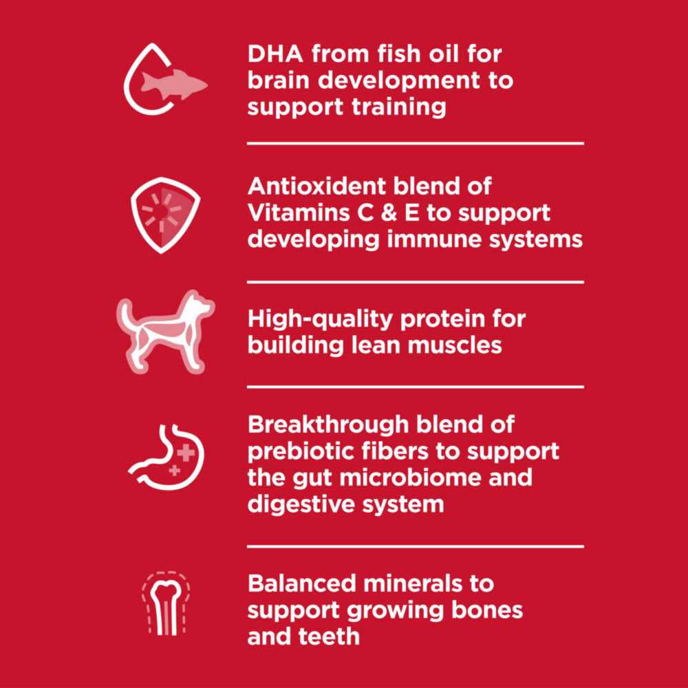 Hill's Science Diet Puppy Small Bites Chicken Meal & Barley Recipe Dry Dog Food - Image 5