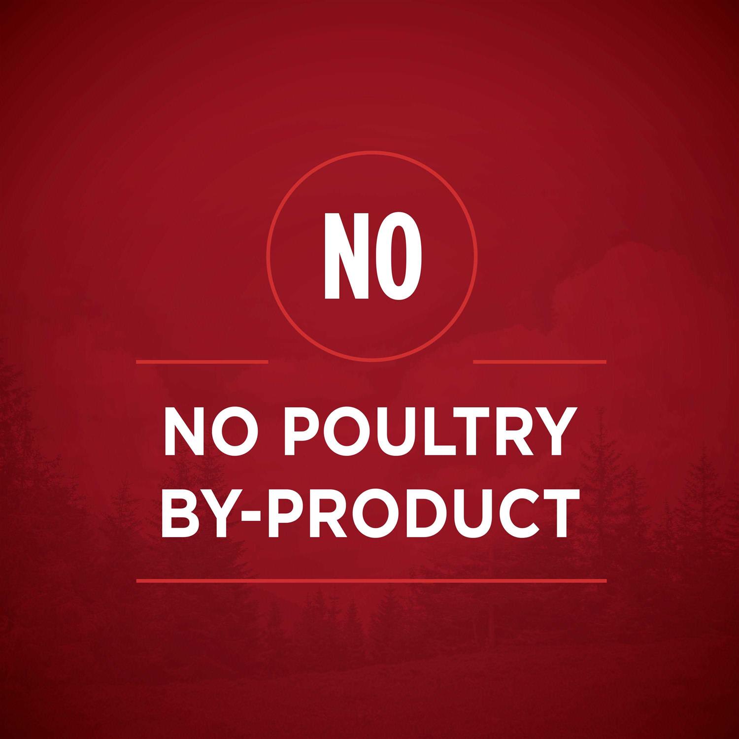 Purina ONE True Instinct Tender Cuts in Gravy Wet Dog Food Variety Pack - Image 3