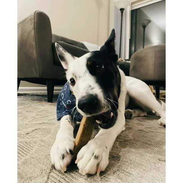 Kradle Calming Chillers Relaxing Hard Dog Chews - Image 5