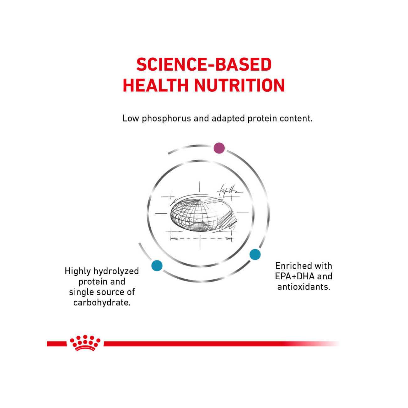 Royal Canin Veterinary Diet Canine Multifunction Renal Support + Hydrolyzed Protein Dry Dog Food - Image 3