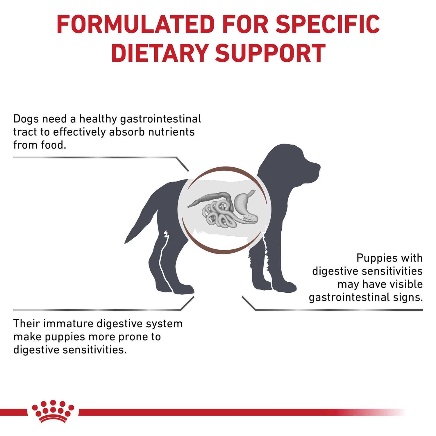 Royal Canin Veterinary Diet Gastrointestinal Puppy Dry Dog Food - Image 4