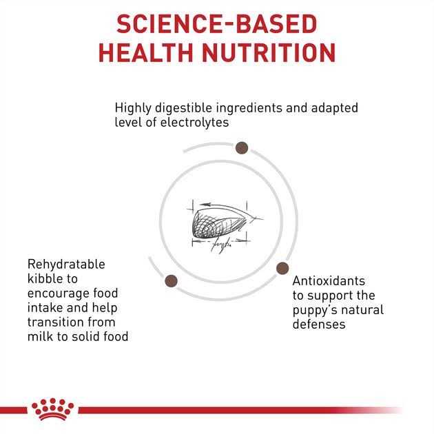 Royal Canin Veterinary Diet Gastrointestinal Puppy Dry Dog Food - Image 5