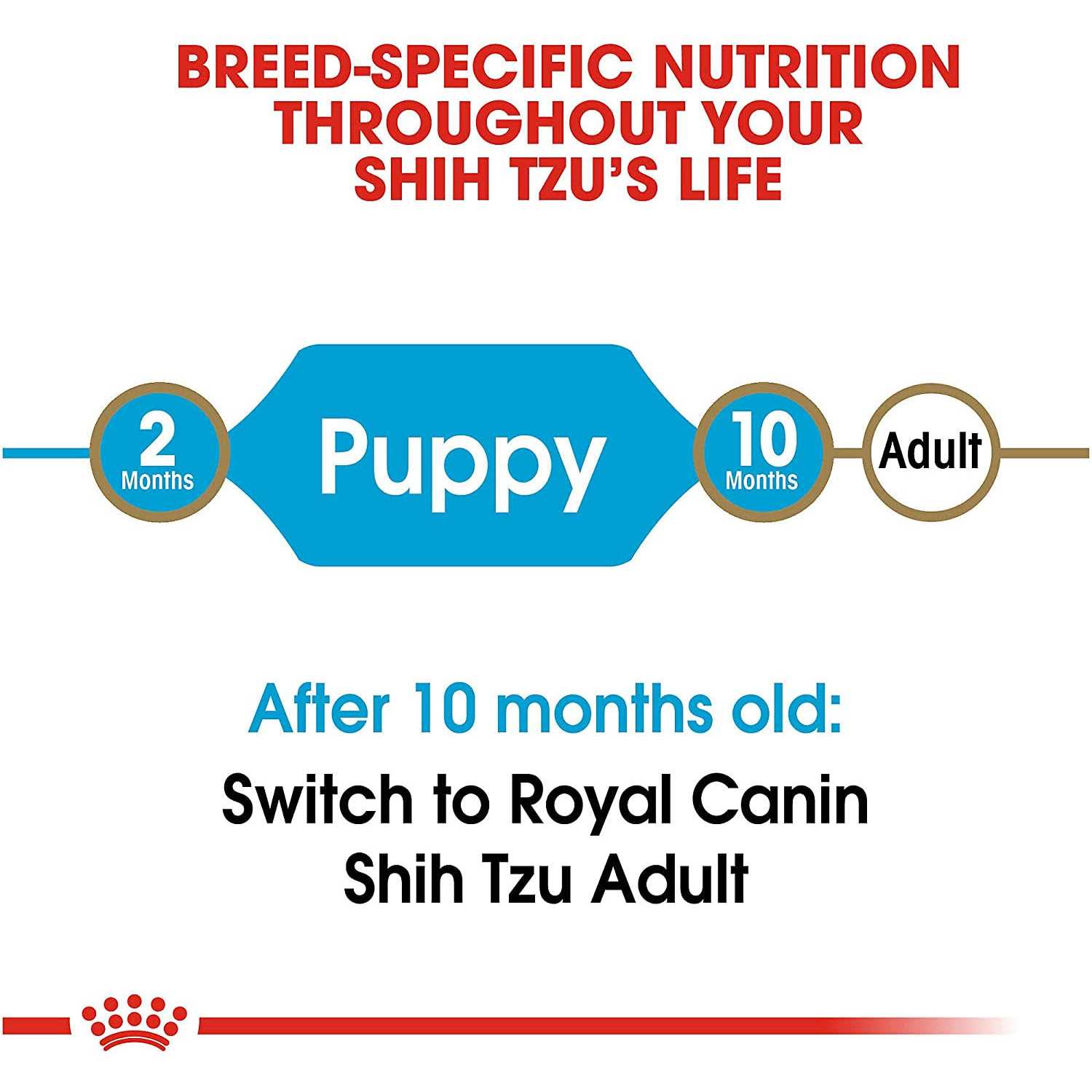 Royal Canin Breed Health Nutrition Shih Tzu Puppy Dry Dog Food - Image 4