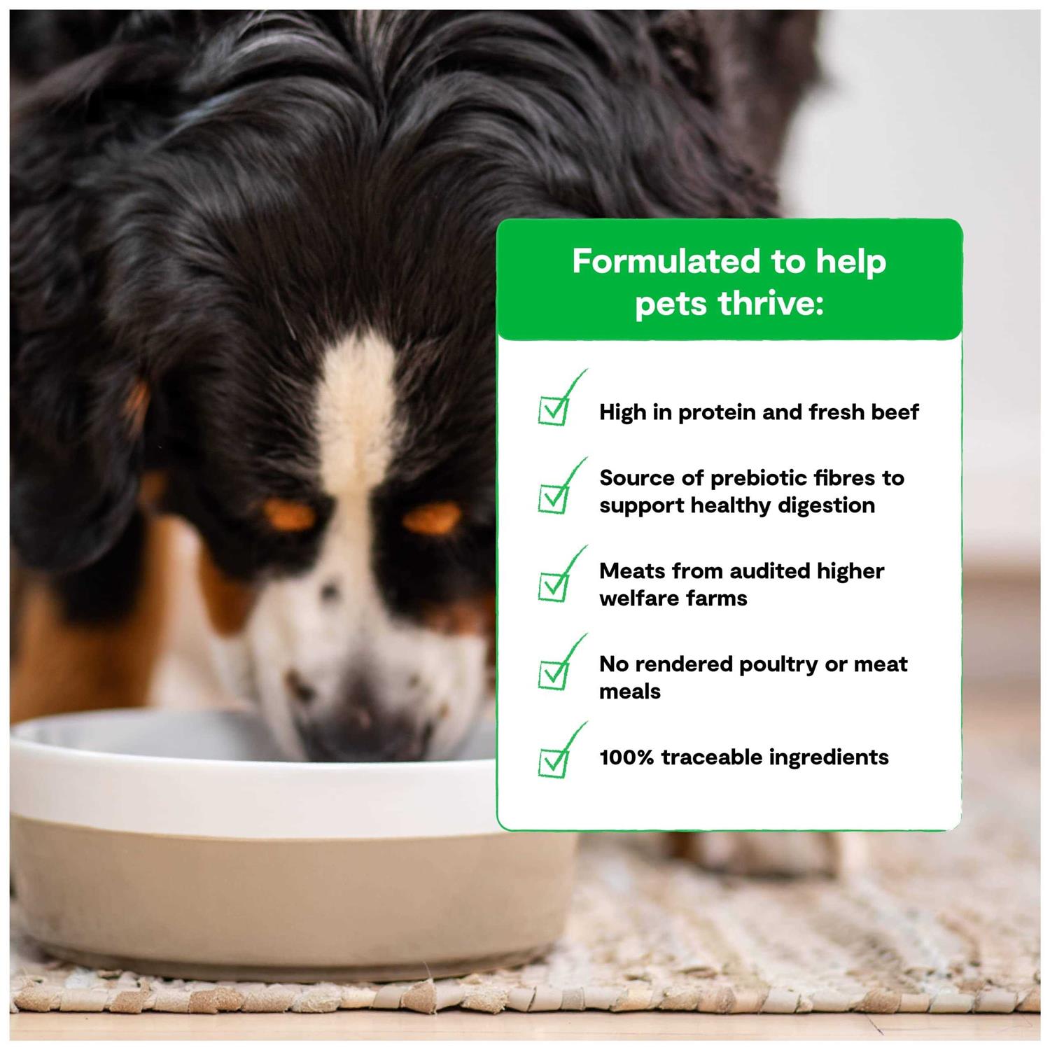 Open Farm Grass Fed Beef Grain Free Dry Dog Food - Image 3