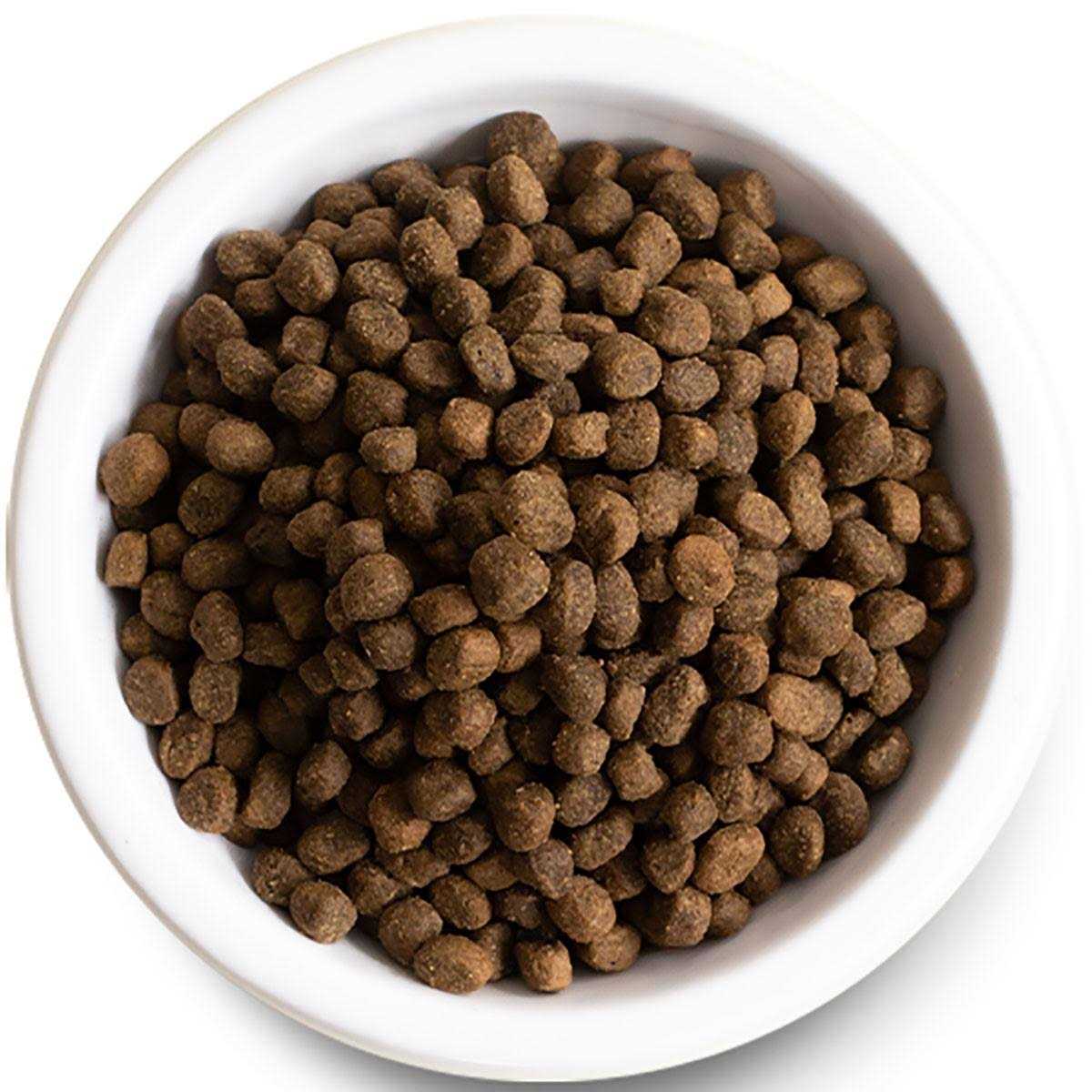 Open Farm Grass Fed Beef Grain Free Dry Dog Food - Image 4