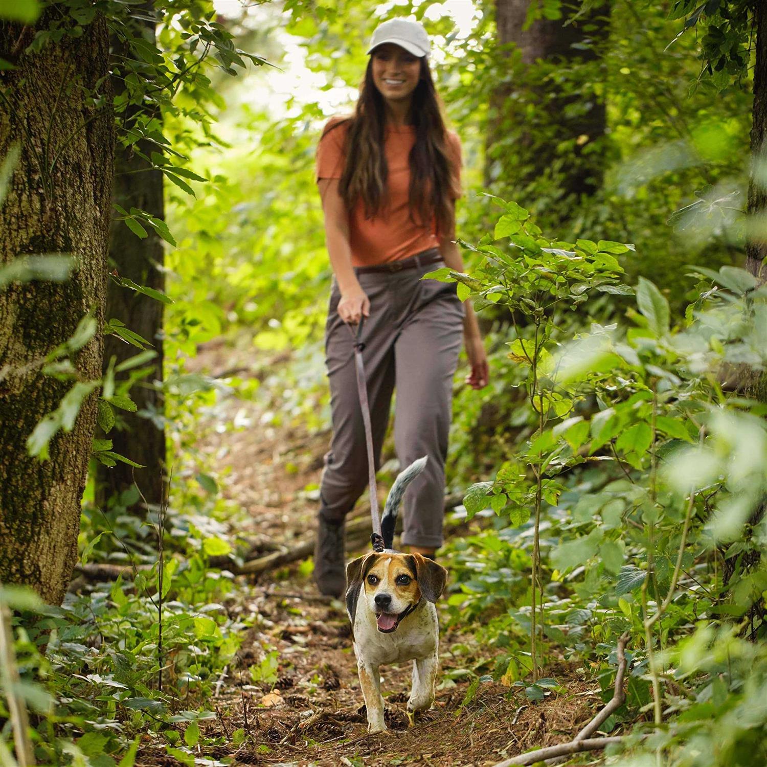 Nature's Recipe Grain Free Chicken Sweet Potato & Pumpkin Small Breed Dry Dog Food - Image 5