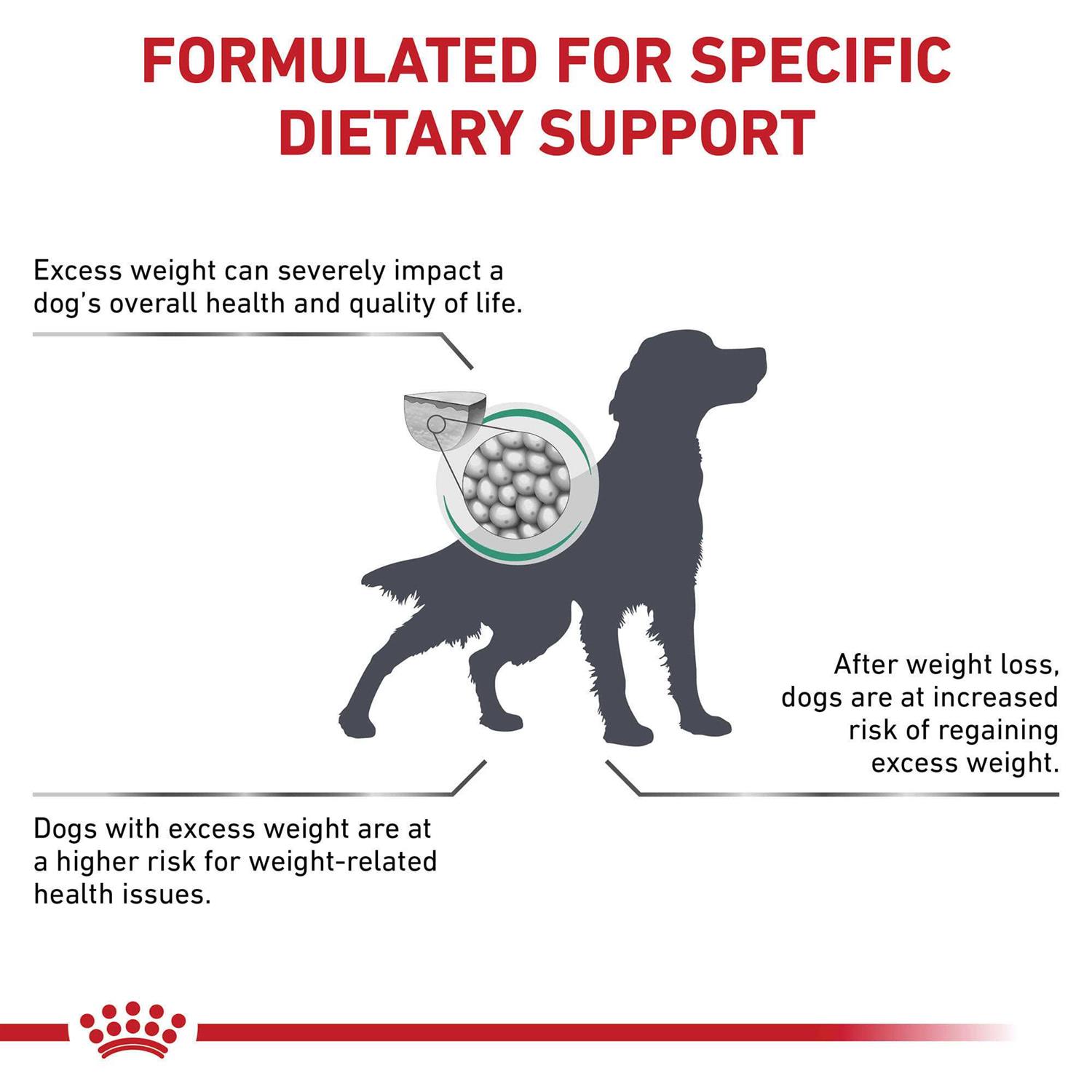 Royal Canin Veterinary Diet Satiety Support Dry Dog Food - Image 3