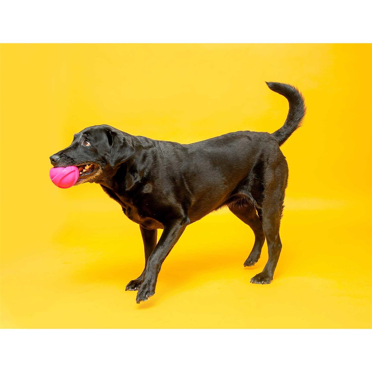 Hartz Dura Play Ball Squeaky Latex Dog Toy - Image 3