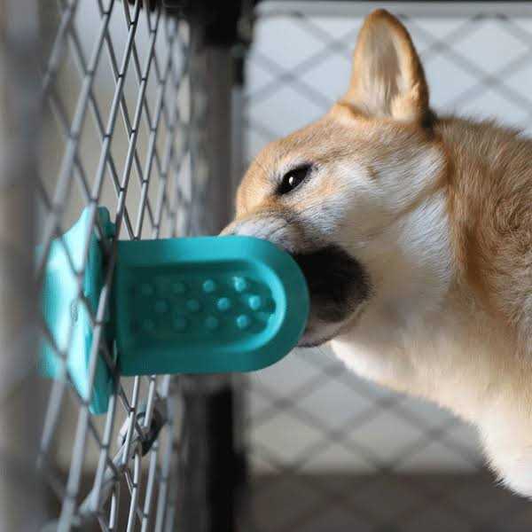 Diggs Dog Groov Crate Training Aid - Image 5