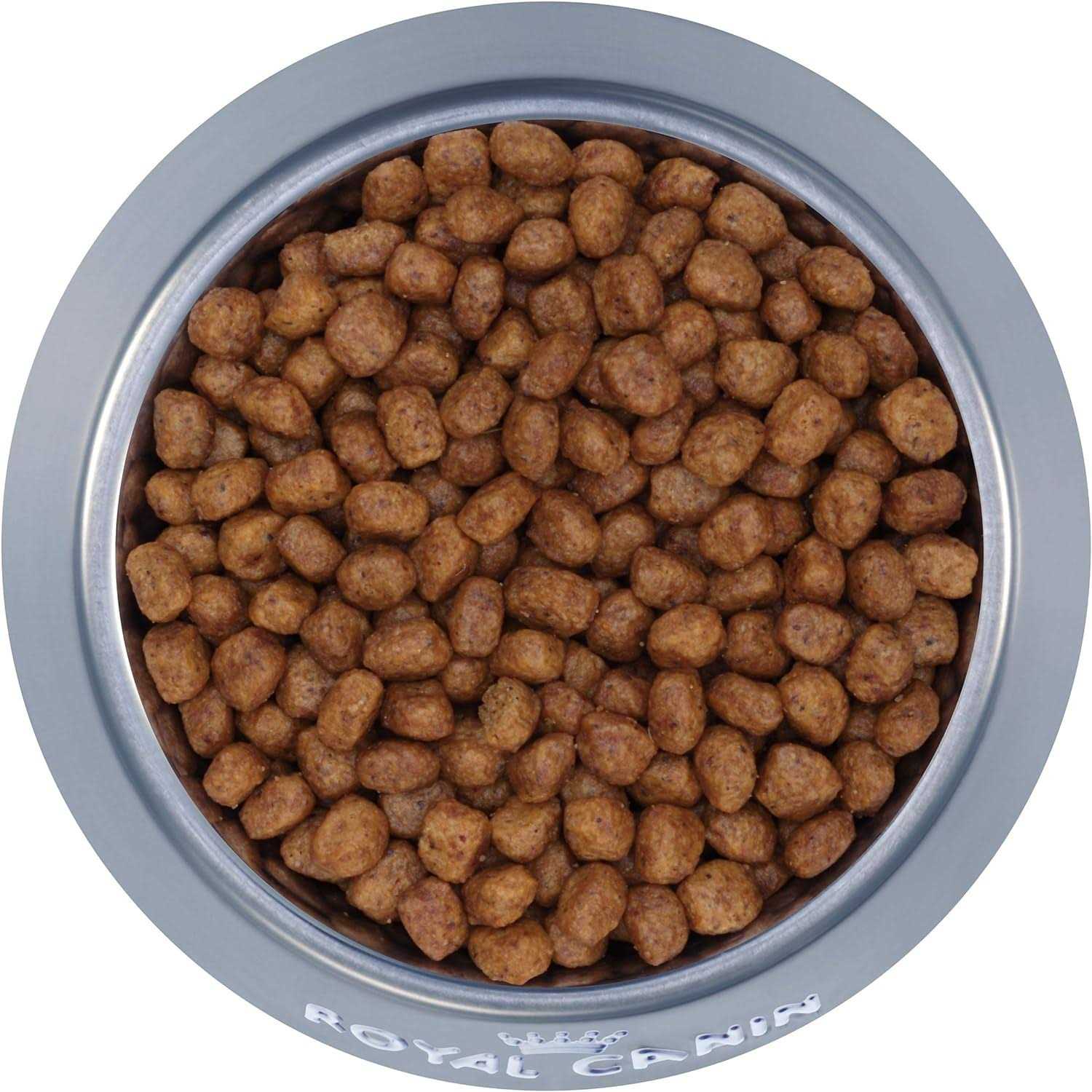 Royal Canin Breed Health Nutrition Chihuahua Adult Dry Dog Food - Image 4