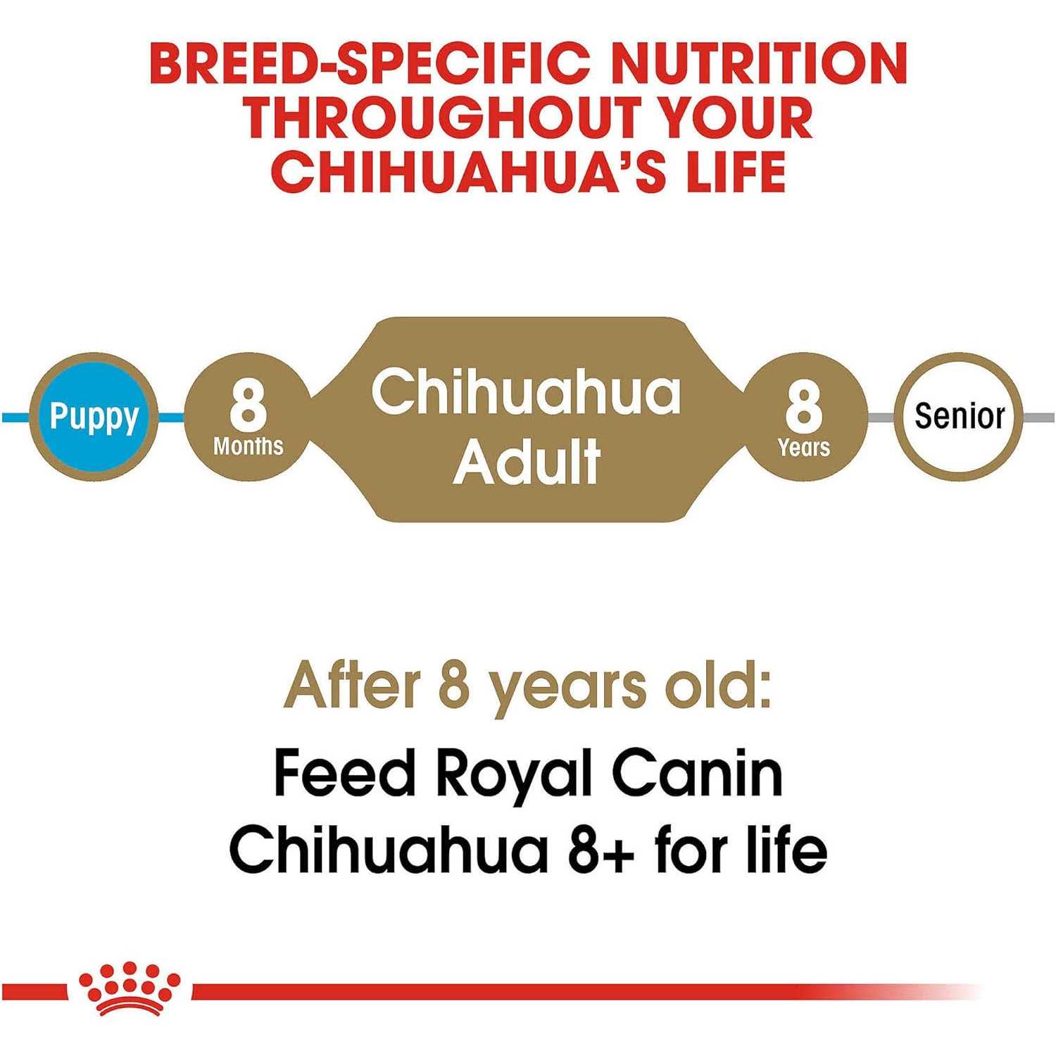 Royal Canin Breed Health Nutrition Chihuahua Adult Dry Dog Food - Image 5